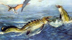 Тилозавры — беспощадные хищники мелового Срединноамериканского моря