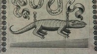Крокодил в Брно, старинная гравюра
