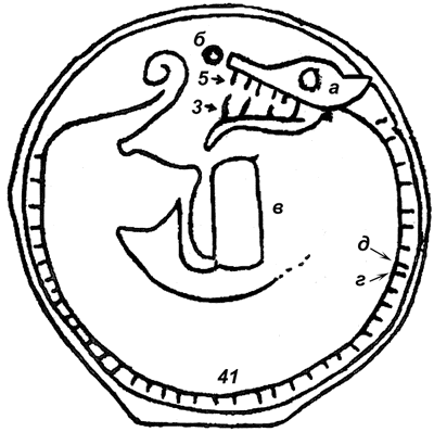 бронзовое зеркало с изображением свернутого кольцом дракона 