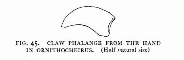 fig. 45.