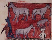 British Library, Sloane MS 278, Folio 48v<br>
Слониха отпугивает дракона от слонят