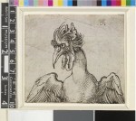 Drawn by Albrecht Dürer <br />
Head and wings of a fantastic bird. 1507-19
