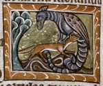 <em>Bodleian Library, MS. Bodley 764, Folio 51v</em><br />
			A basilisk is attacked by a weasel, the only animal that can kill it.