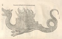 Амфиптер в книге Улисса Альдрованди «История змей и драконов» (1522-1605)