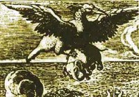 Птица Рух. Й.Страданус гравюра на меди 1522г.