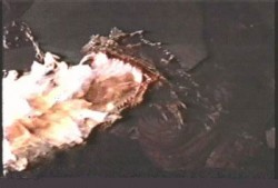 Фильм "Убийца драконов" ("Dragonslayer") так и  остался единственной кинолентой, использовавшей технологию  "go-motion"