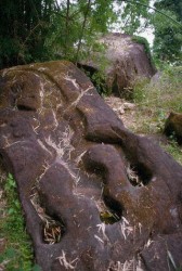 The Crocodile stone. Chenla culture. Laos