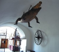 Дракон-крокодил в старой городской ратуше. Брно