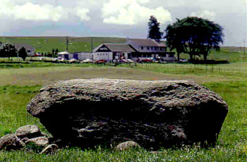 Чашеобразный камень в Sma Glen, недалеко от Crieff, Perthshire, Шотландия