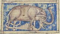 British Library, Sloane MS 3544, Folio 35v<br>
Битва дракона и слона