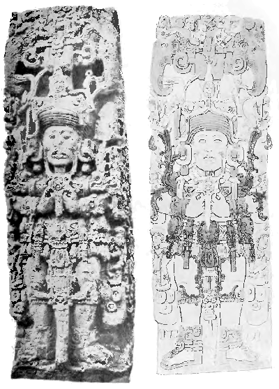 Fig. 19.—The front of Stela B (famous for the
realistic representations of the Indian elephant at its upper corners),
one of the ancient Maya monuments at Copan, Central America (after
Maudslay's photograph and diagram).
The girdle of the chief figure is decorated both with shells (Oliva or
Conus) and amulets representing human faces corresponding to the
Hathor-heads on the Narmer palette (Fig. 18).