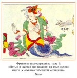 из Атласа тибетской медицины :: Буддизм :: Духовное - раздел о драконах в духовных традициях :: dragons-nest.ru