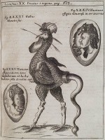 Gallus Monstrus.<br /> Gasparis Schotti. Physica Curiosa, Sive Mirabilia Naturæ et Artis Libris. Herbapoli (Wurzburg) : J. A. Endeteri & Wolfgangi, 1667.