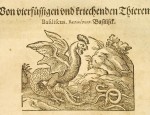 Basilisk from book Historia Naturalis by Gaius Plinius Secundus, that was translated to deutche language and published by Johann Heiden and ilustrated by Jost Amman in 1584. translation of Historia Naturalis middle-ages.<br />From Salzburg university library