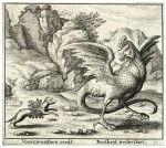 Поединок хорька с василиском. Гравюра Вацлава Холлара, XVII век <br />The Basilisk and the Weasel by Wenceslas Hollar, c.17th century.