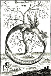 Гравюра Абрахама Елеазара 1735 г. к его алхимической работе «Doneum Dei». Перед деревом без листьев два змея (дракона), кусающие друг друга за хвост и формирующие таким образом уроборос (круг). Верхний змей увенчан короной и имеет крылья. Слева внизу растет небольшой тюльпаноподобный цветок.