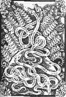 Змея — пресмыкающееся, символическое значение которого трактуется весьма широко. Во многих архаичных культурах рассматривается как символ подземного мира и царства мертвых