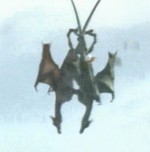 «Мир драконов: Ожившая фантазия»  «Dragons' World: A Fantasy Made Real» 2004